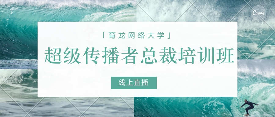 国美倒闭史,2003国美