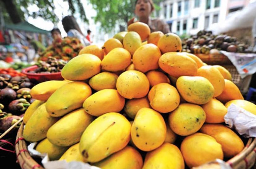 缅甸进口水果口岸在哪里,缅甸木姐口岸出口消息