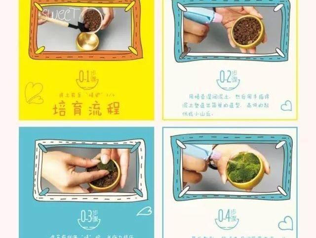 苔藓意境盆景,文人树盆景怎么养才能突出好看