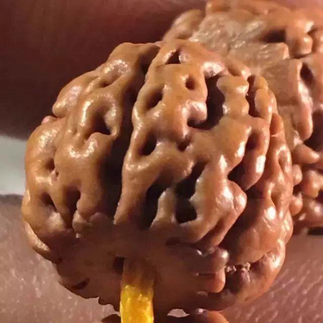 金刚菩提怎么玩才是真的,金刚菩提应该怎么玩