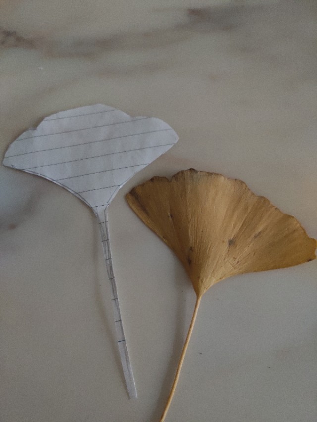 银杏叶手工花贴画幼儿园简单,银杏叶可以做什么手工小学生做的