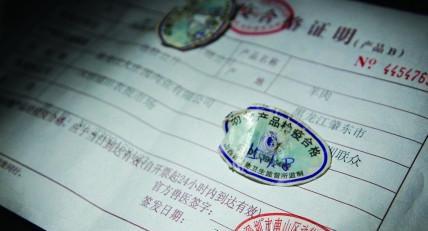 带鹦鹉出去需要准备一些什么,宠物托运护宠攻略