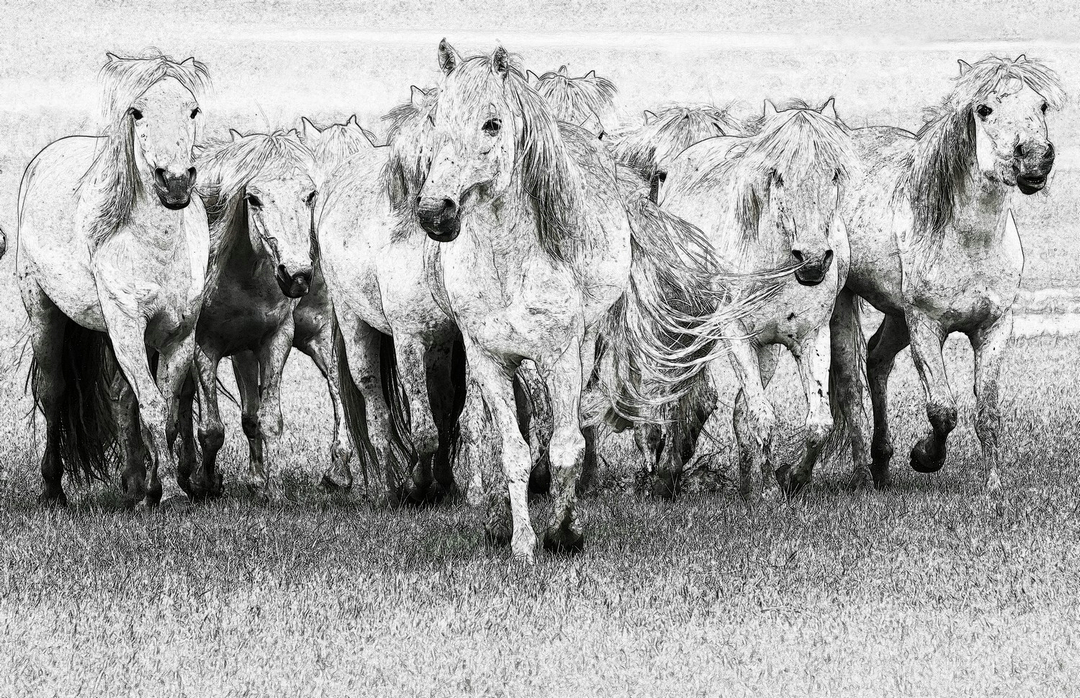 拍马都追不上的成语,拍马都赶不上的成语