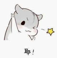 厦门春运火车票订票,厦门火车票几点开售