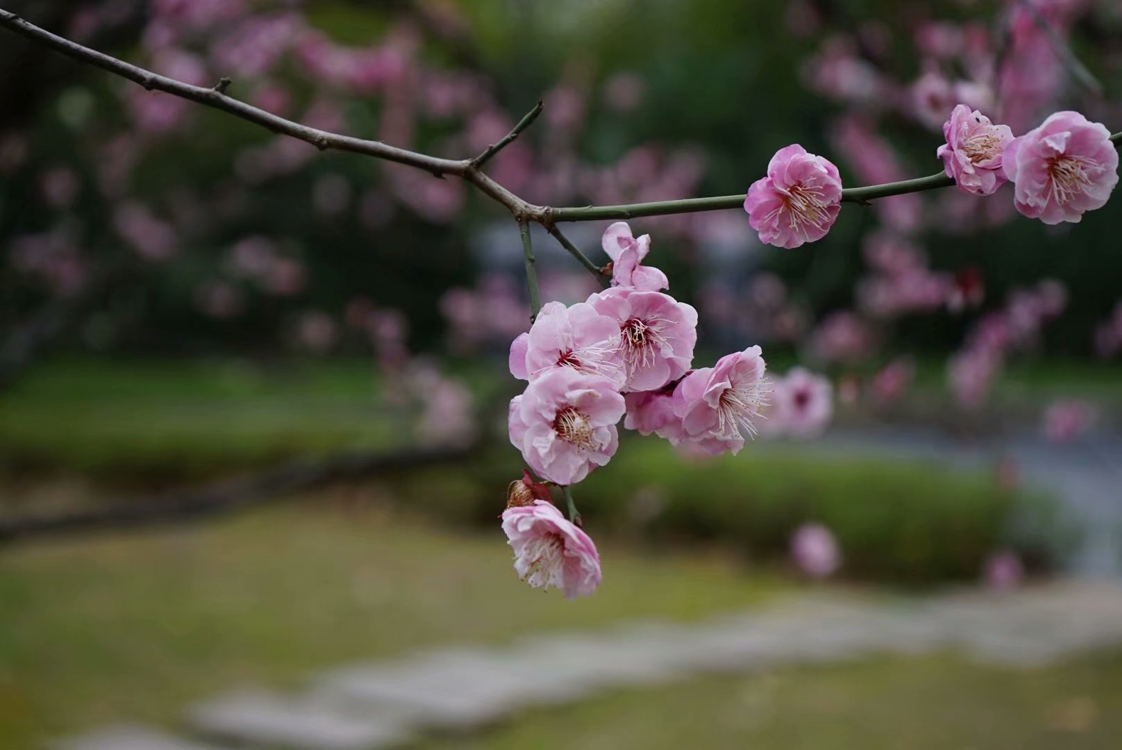 随笔在风华正茂的日子里迷途知返,随笔每一个孩子都值得期待