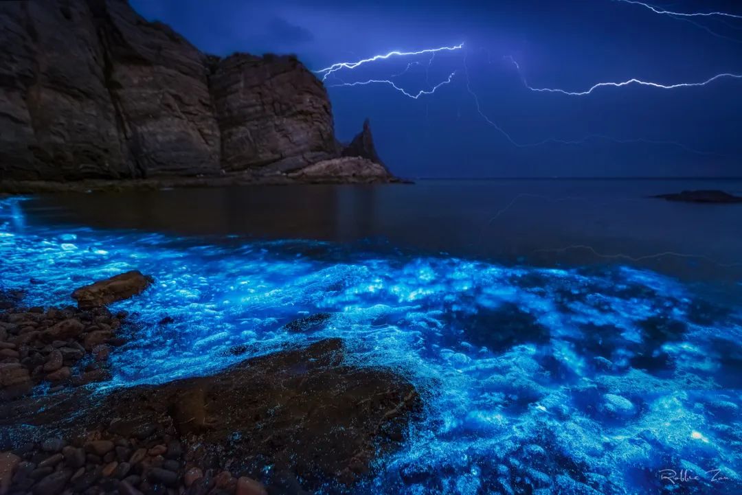 忽然想去旅游了,忽然想去宁波了