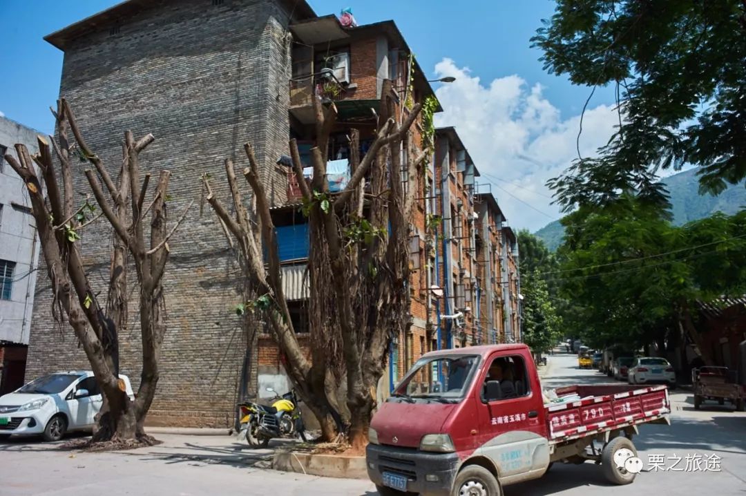 徕卡2490f2.8一机走天下,徕卡m9风景参数