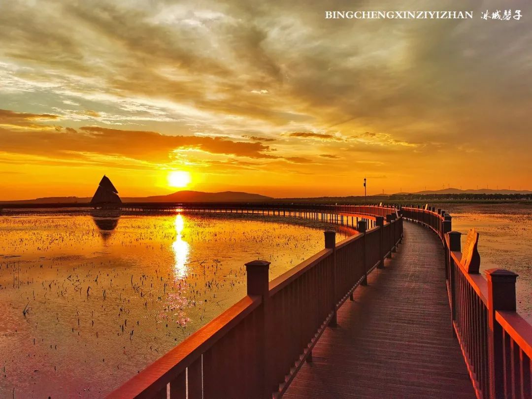 再返富锦，为着那份飘着稻花香的“湿”意约定