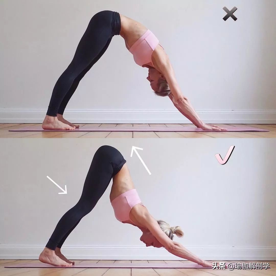 刚开始练瑜伽下犬式,瑜伽老师说体式