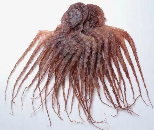 干货海产品视频,海产品干货的种类大全