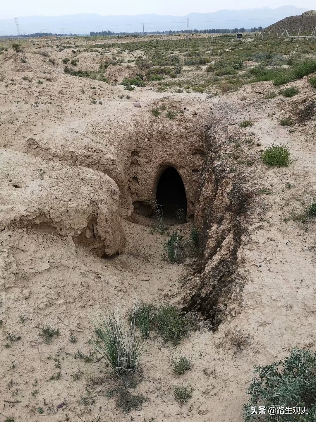 培黎学校真实情况,培黎学校的历史