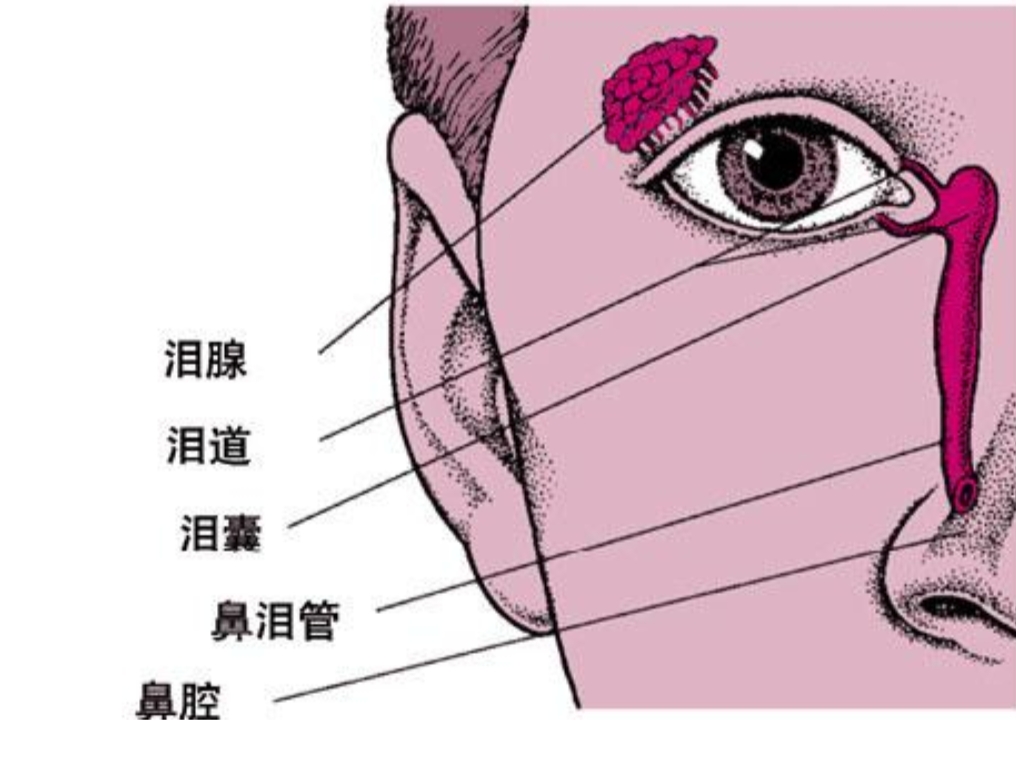 上火眼屎多是什么原因引起的,孩子眼屎多流鼻涕是什么原因