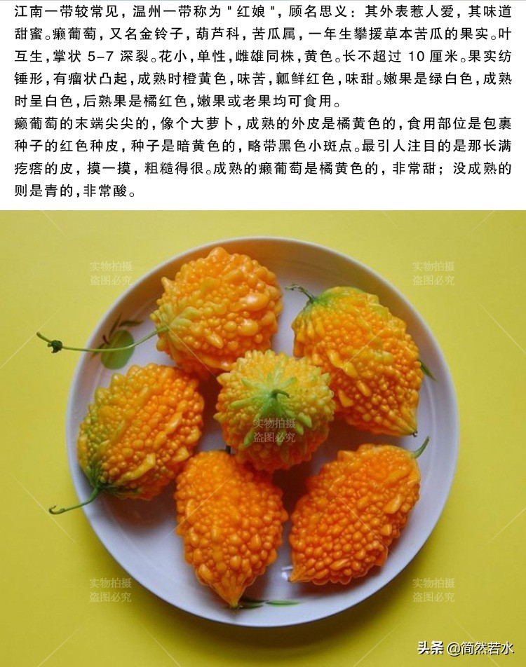 金铃子癞葡萄能吃吗,金铃子癞葡萄