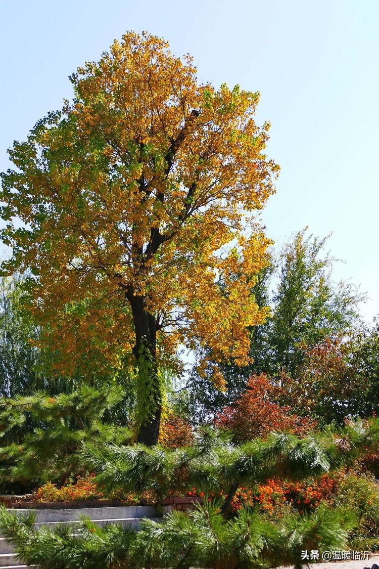 竹泉村景区,最美竹泉村