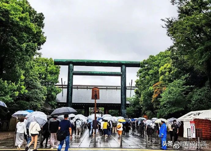 这些年我们被坑的故事,这些年我们被误导的观念