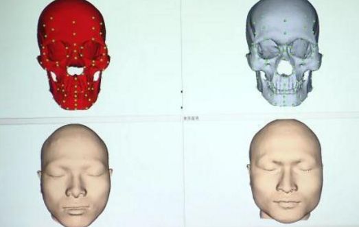 秦始皇帝陵陪葬墓新发现,秦始皇帝陵新发现将军俑