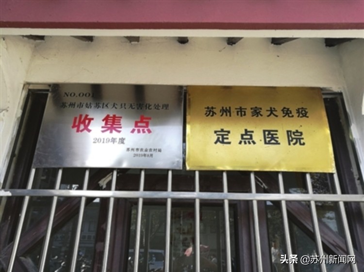 宠物身后事，你会怎么办？苏州已陆续设立犬尸无害化收集点