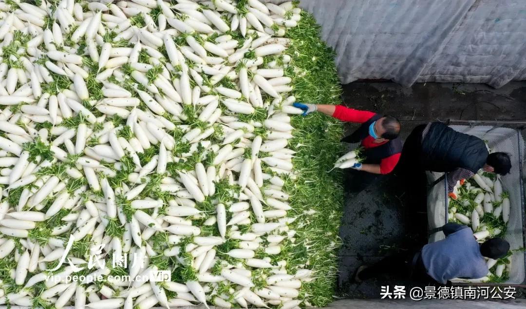 10元特价菜品,10元特价菜去哪里买