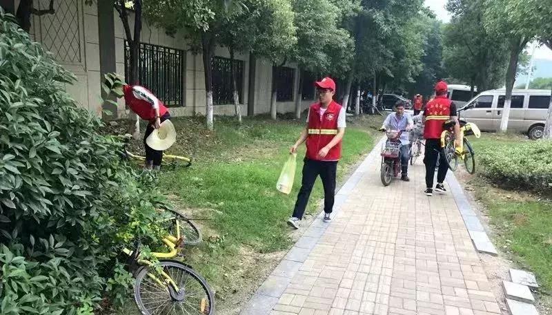 栖霞公路环境整治,栖霞市综合治理