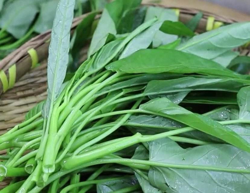 酸辣空心菜梗和酸豆角做法,四川空心菜酸豆角肉末怎么炒好吃