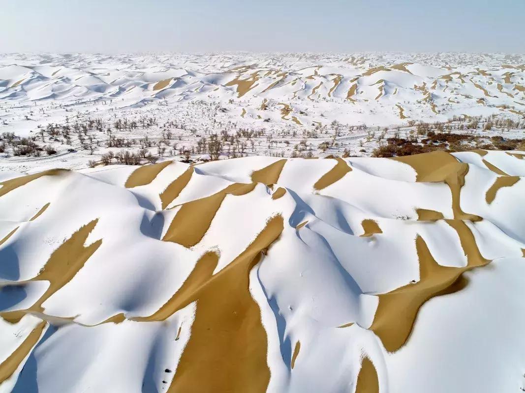 冬天的阿勒泰冰雪,冬天的雪冰雪奇缘