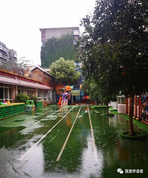 中原区公立幼儿园,郑州市中原区私立幼儿园怎么报名