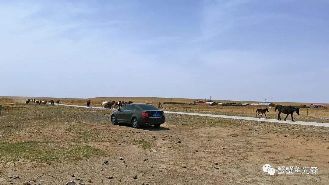 承德到大草原自驾游攻略,北京出发热阿线达达线自驾游攻略