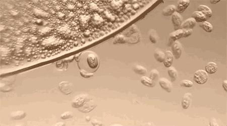 夏天最让人尴尬的6个瞬间,夏天最尴尬的三件事