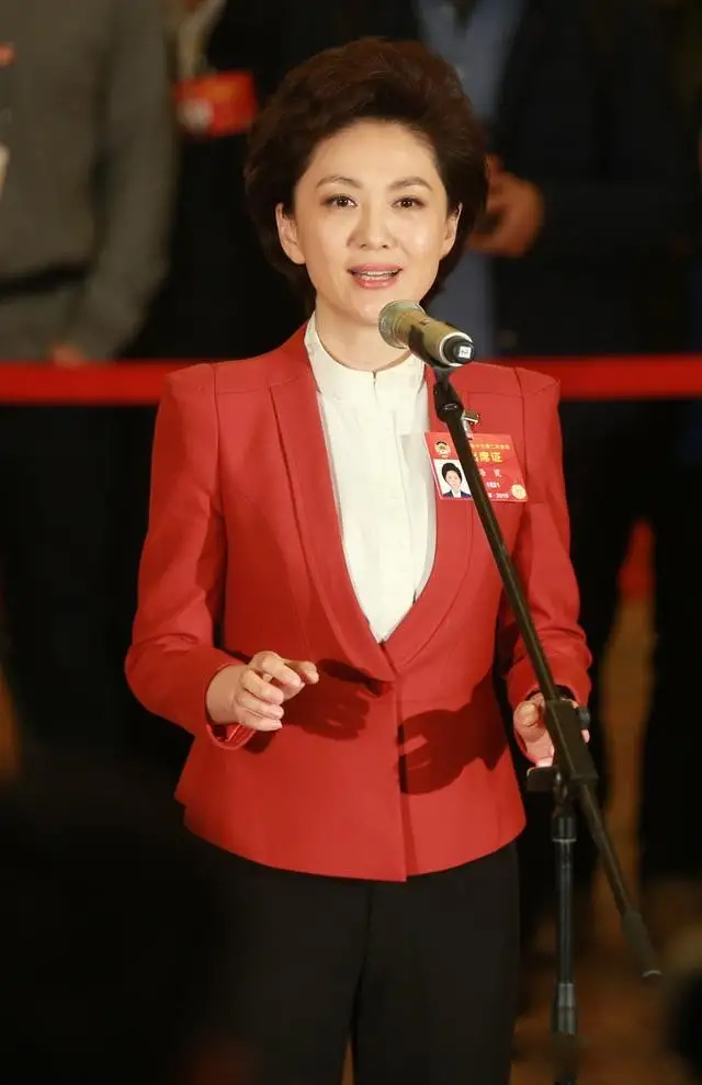 央视海霞西装照片,海霞主持人穿红色西装