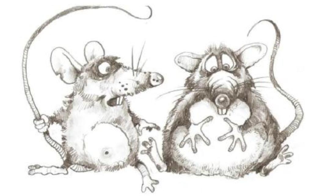 官仓鼠的作者曹邺怎么读,曹邺的官仓鼠表达了什么