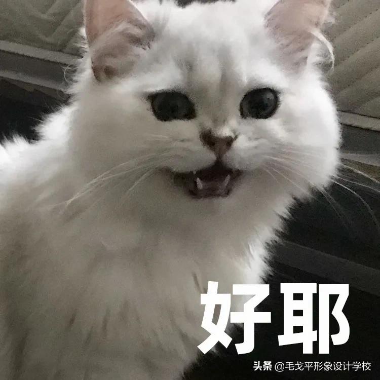 私人定制眉形|画不好眉毛的宝贝们都进来学习下