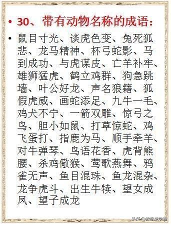 基础知识大全语文,语文基础知识大全归纳总结初中