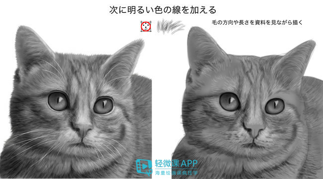 动物的脚印可以怎么画成小动物,小动物和动物妈妈温暖的简笔画