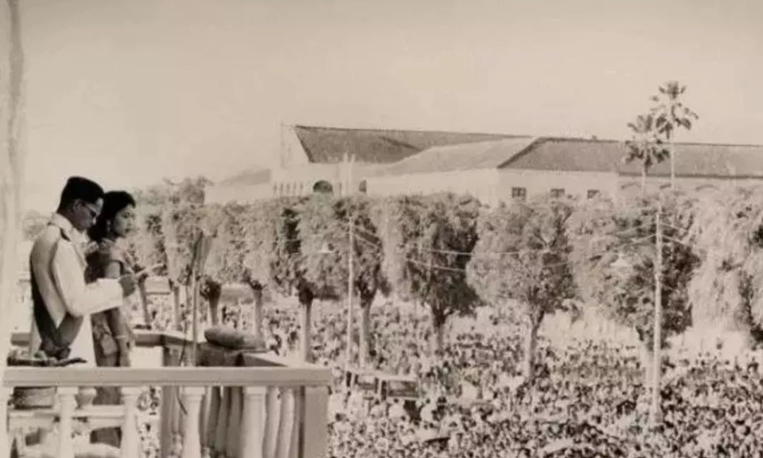 泰国王后诗丽吉年轻时候纪录片,泰国诗丽吉王后的珠宝