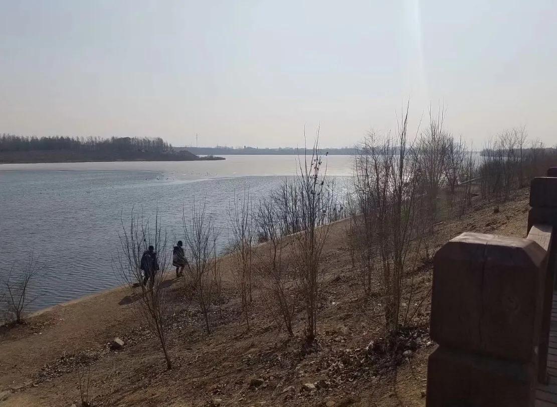 抗癌日记第二天拍摄的视频,抗癌26次放疗