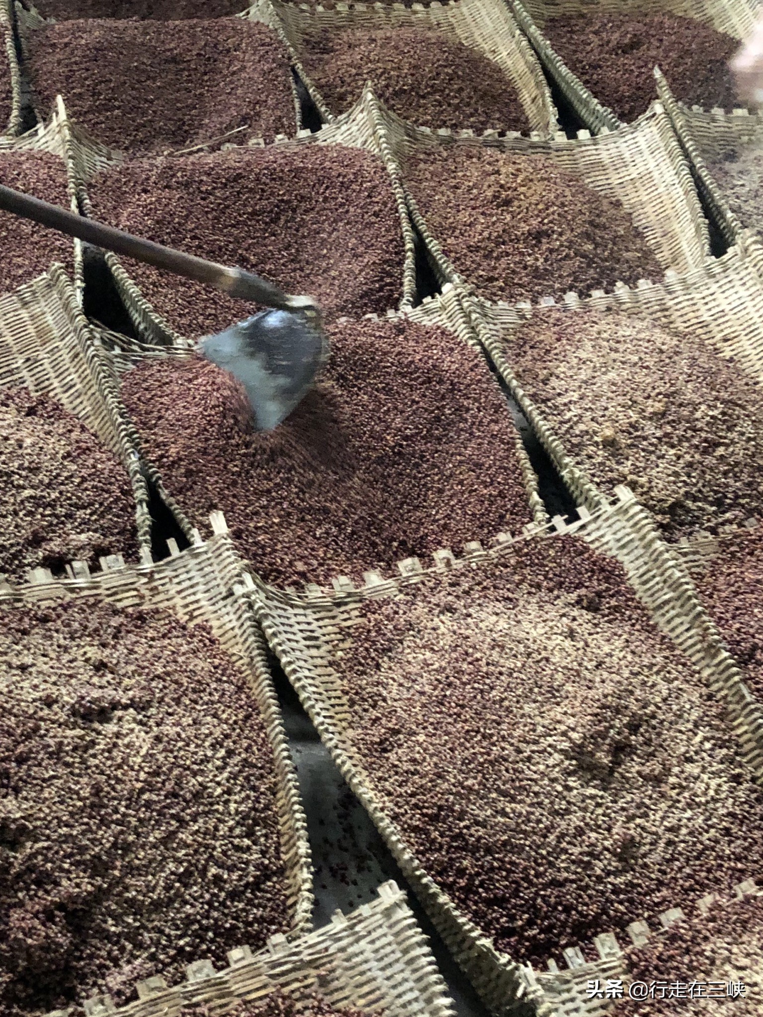 白酒酿出来就能喝吗,白酒刚酿出来就变浑是什么原因