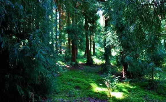 贵州60个重点景区名单,贵州5个风景区