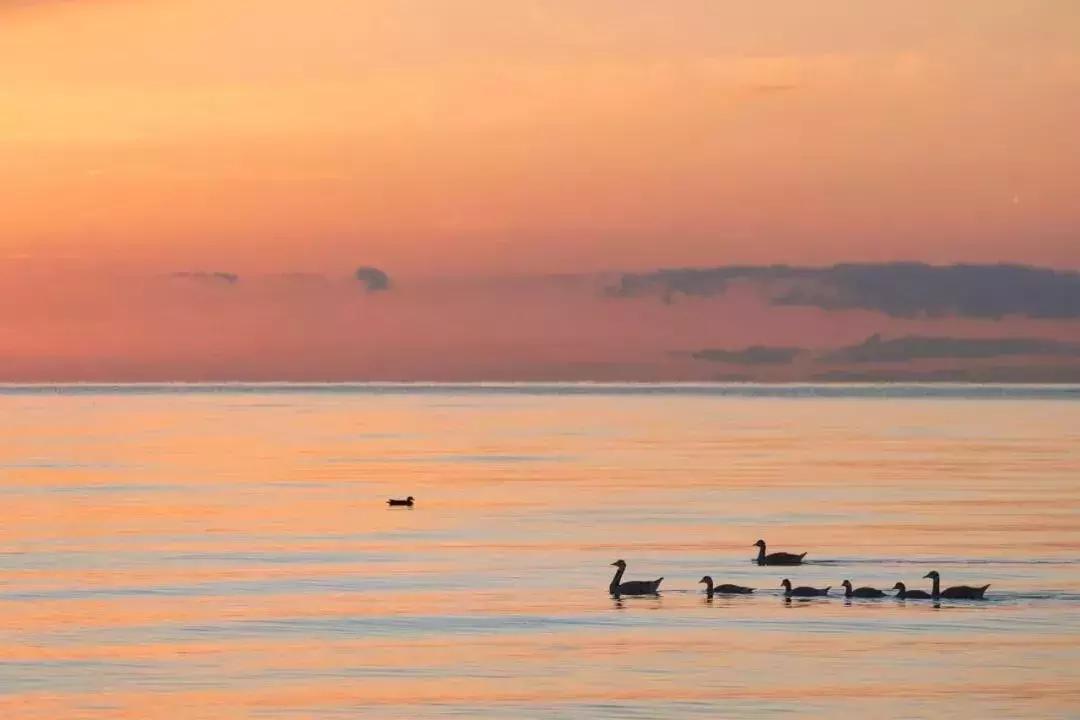 中国历史上最有名的十首诗,中国历史上的33首诗