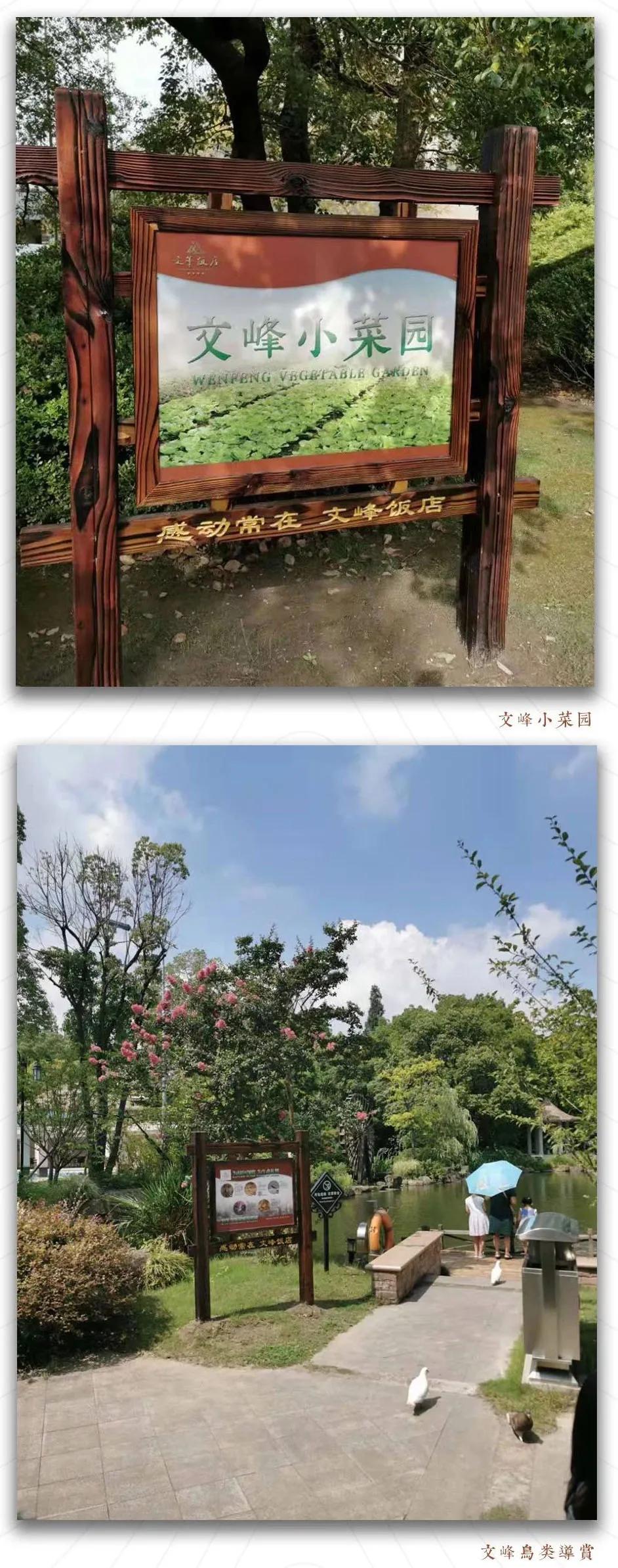 文峰文旅｜感动常在文峰饭店