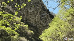专治各种恐高症的玻璃栈道,少华山玻璃栈道旅游攻略