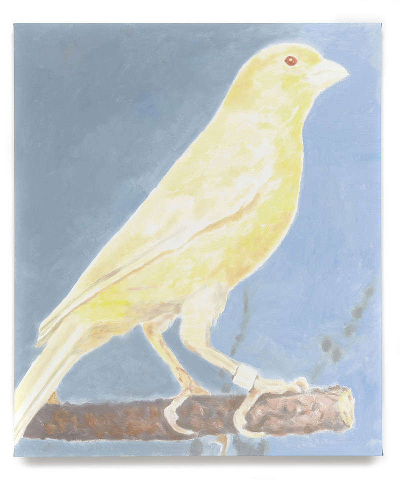 比利时当代艺术,比利时当代艺术作品