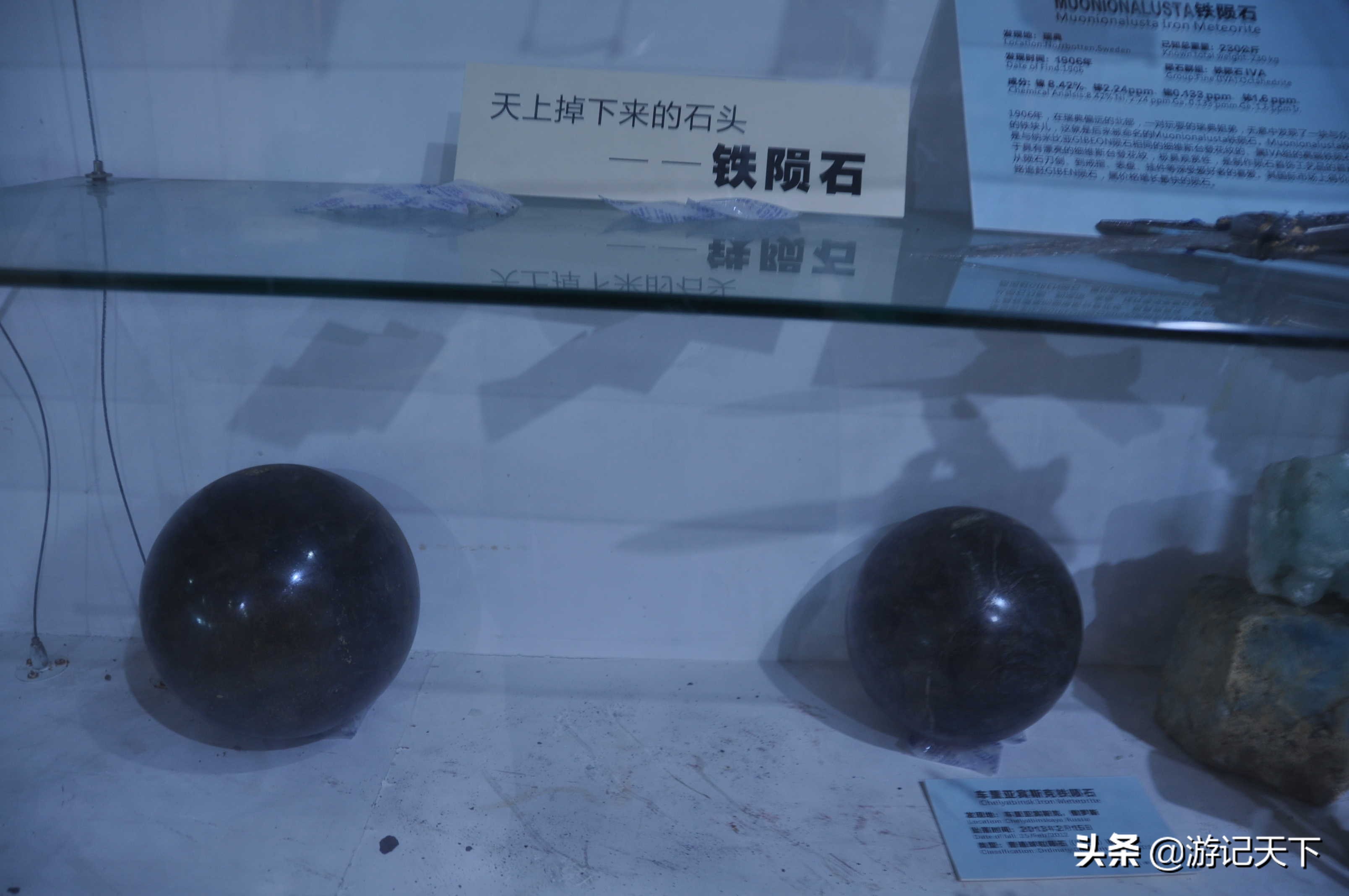 参观上海东方地质科普馆,上海东方地质科普馆需要预约吗