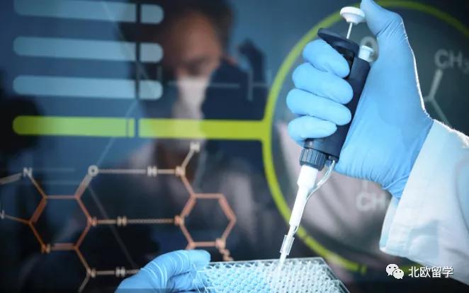 芬兰北欧留学专业排名,芬兰大学专业排名