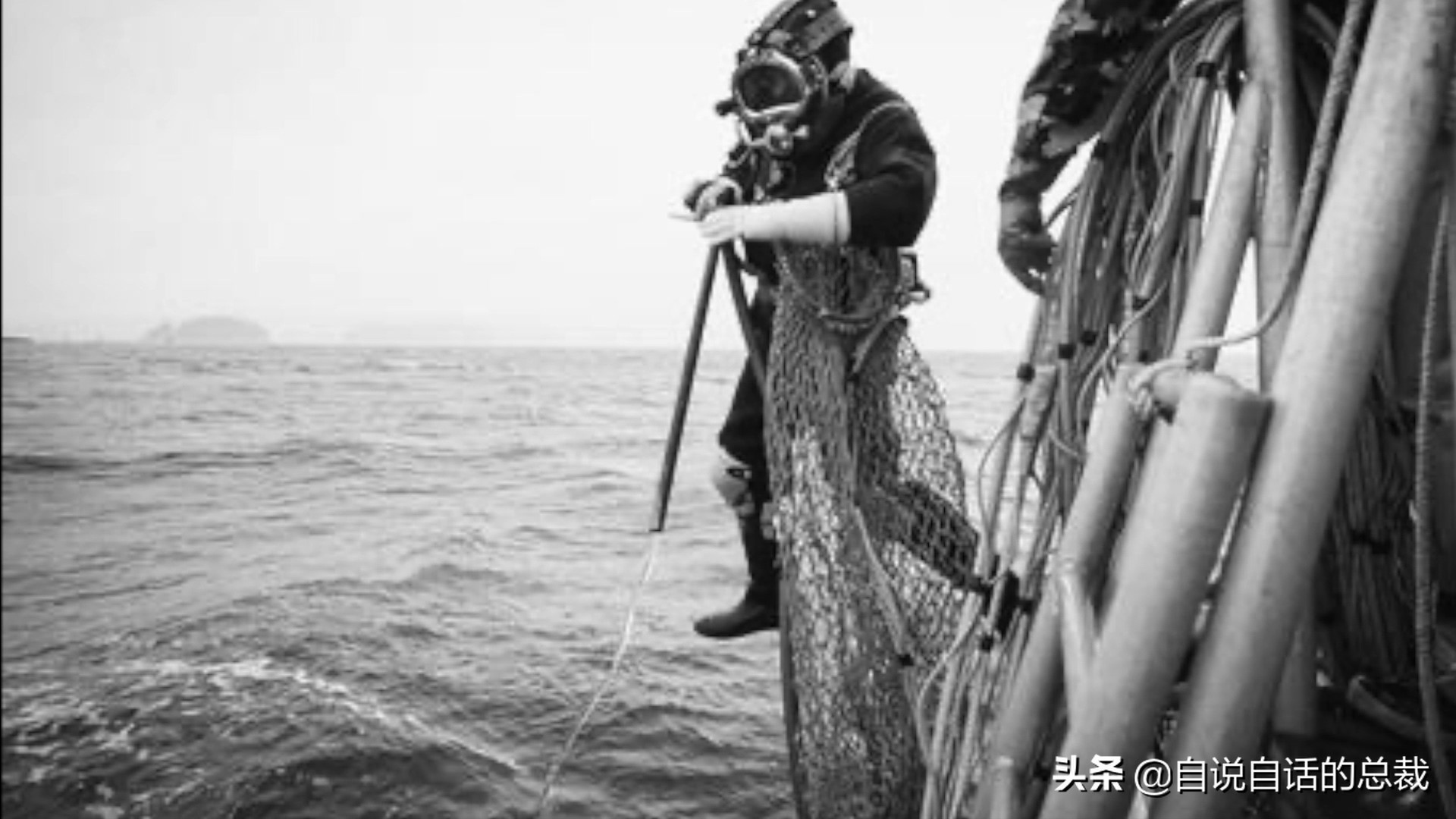 蚶蛤蛏蚬区别,蛤蜊蚶子蛏子区别