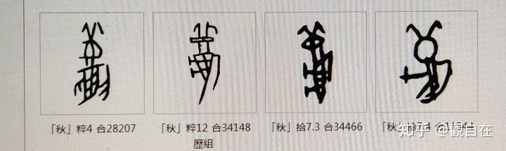 夏天来了你知道夏天是什么样的吗,夏天过去了是什么季节