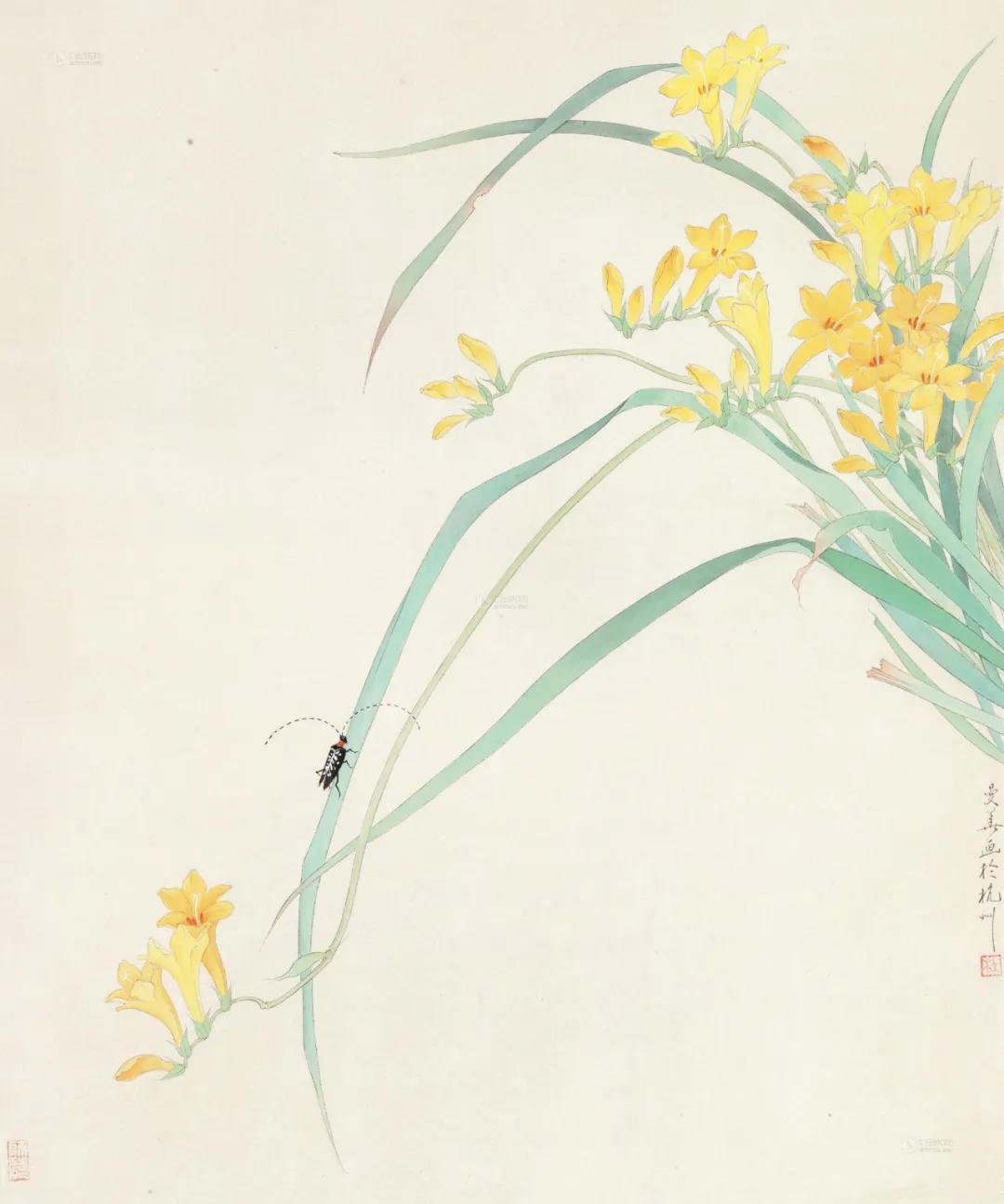 杜曼华花鸟作品欣赏,淡雅空灵杜曼华工笔花鸟作品40幅