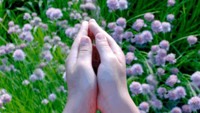 马云孙正义20年前的视频,孙正义马云阿里巴巴