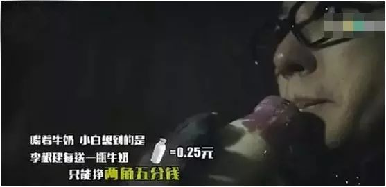 学养天鹅的技术,学养天鹅技术