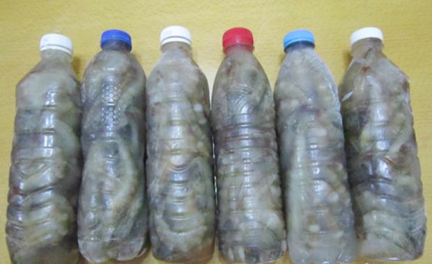 冰鲜虾和活虾的区别,买冰鲜虾应该怎么挑选