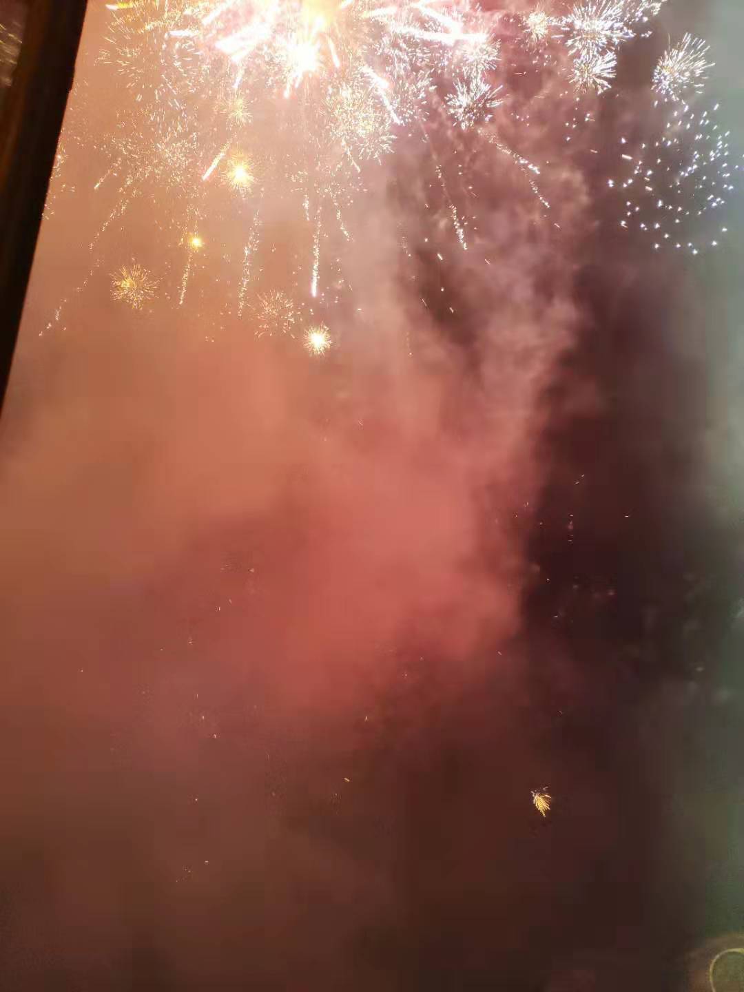 为什么那么多人抢到春节回家的票 (大家都抢到票回家过年了吗)